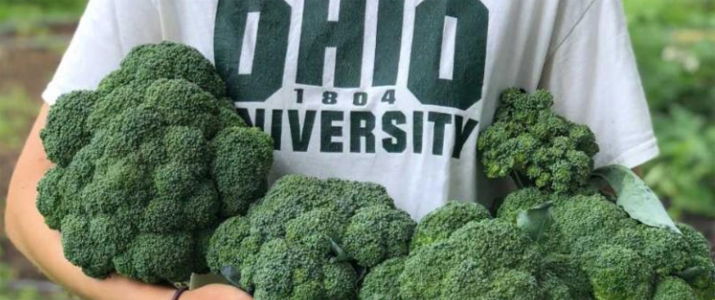 OU Student holding a harvest